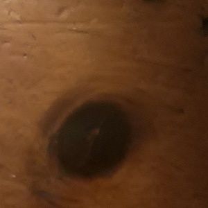 Meet your Posher, Lavasia